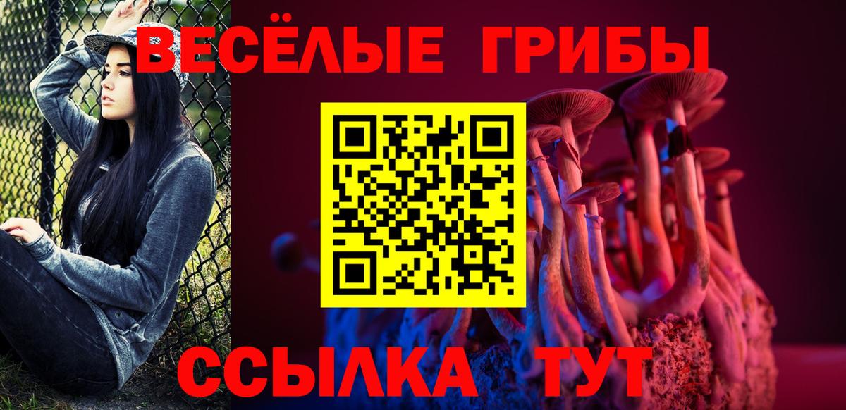 Псилоцибиновые грибы ЛСД Пугачёв