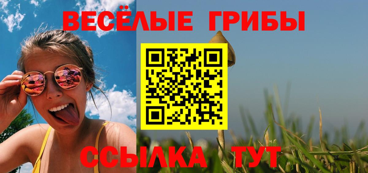 Пугачёв  Псилоцибиновые грибы Psilocybine cubensis  Галлюциногенные грибы GOLDEN TEACHER  Вход с VPN 