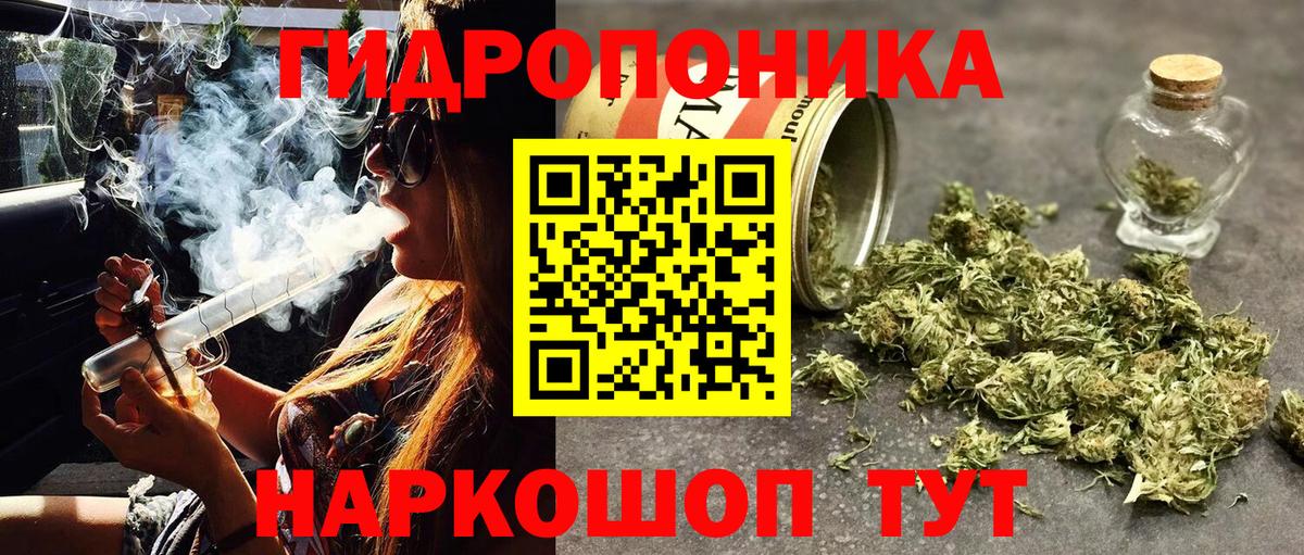Бошки марихуана LSD WEED Пугачёв